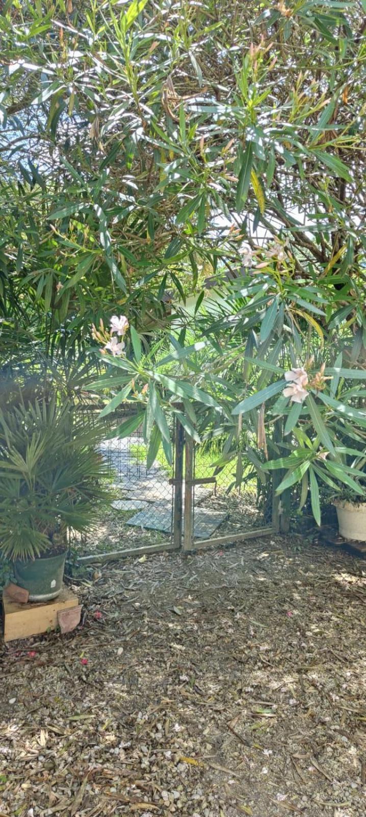 Villaluigia - Oasi Le Palme Padua Exteriör bild