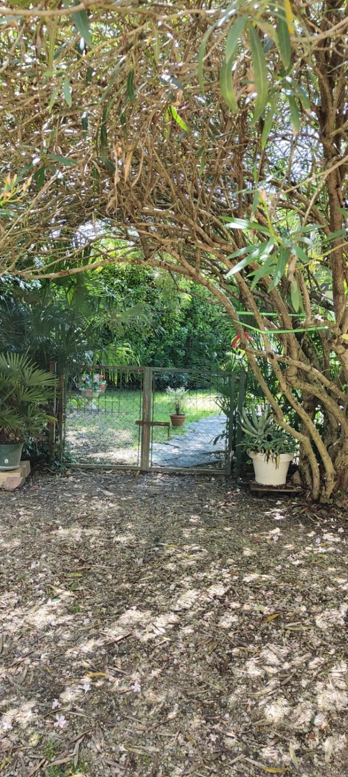 Villaluigia - Oasi Le Palme Padua Exteriör bild