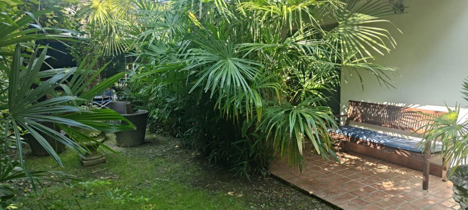 Villaluigia - Oasi Le Palme Padua Exteriör bild