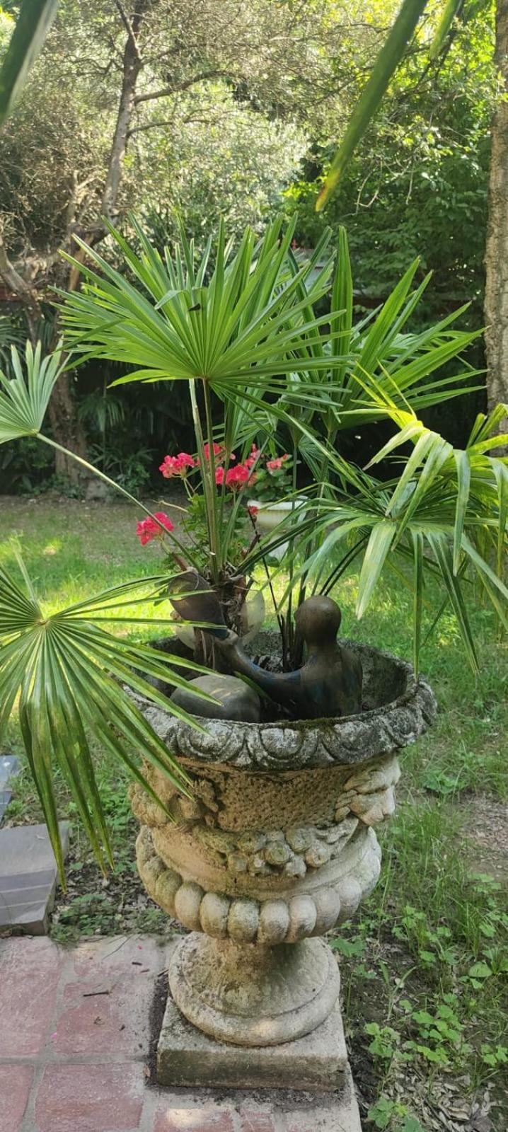 Villaluigia - Oasi Le Palme Padua Exteriör bild