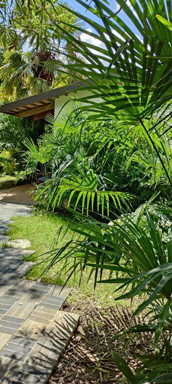 Villaluigia - Oasi Le Palme Padua Exteriör bild