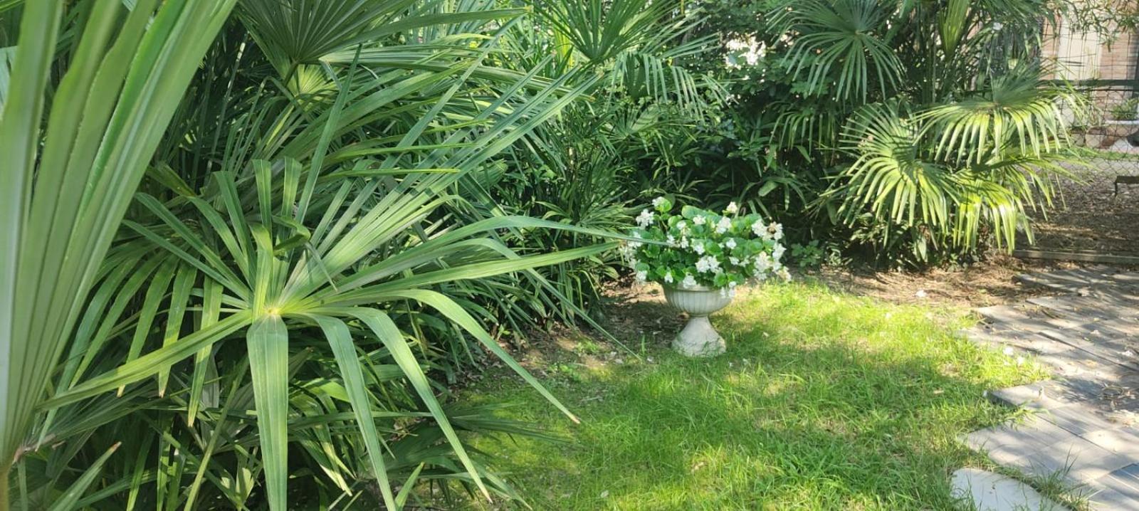 Villaluigia - Oasi Le Palme Padua Exteriör bild